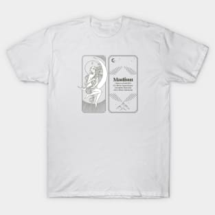 Meteorite Collector "Observed Fall: Madiun" Meteorite T-Shirt